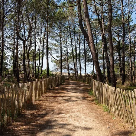 A Avec Piscine, Boulodrome Et Terrasse - 7 Personnes, Menage Inclus - Fr-1-319-497 Апартаменты *