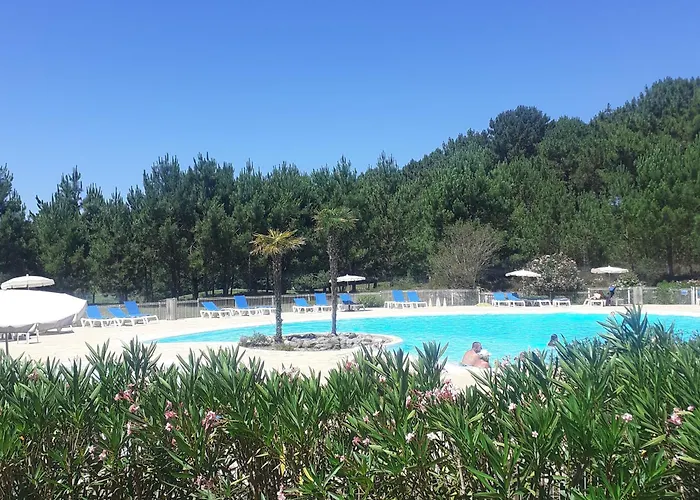 公寓 A Avec Piscine, Boulodrome Et Terrasse - 7 Personnes, Menage Inclus - Fr-1-319-497 比斯卡罗斯